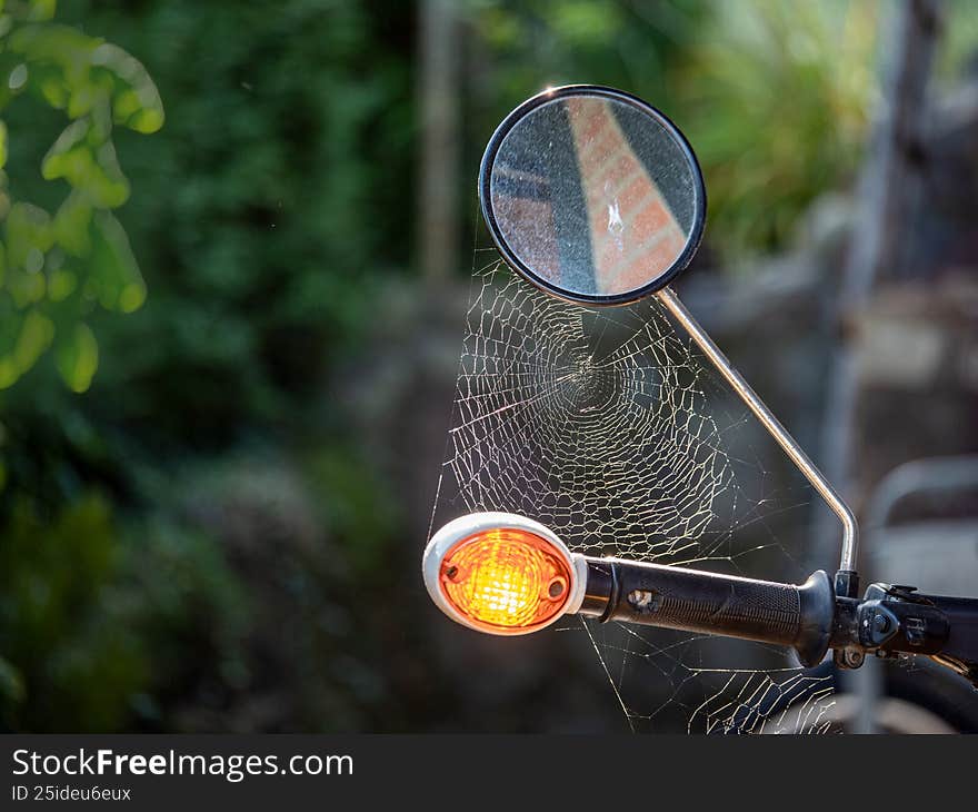 Spider web spun across an abandoned motorcycle mirror and amber turn signal in direct sunlight