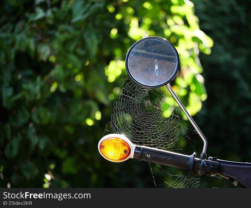 Intricate spider web covering an abandoned motorcycle mirror in warm sunlight, showing nature reclaiming