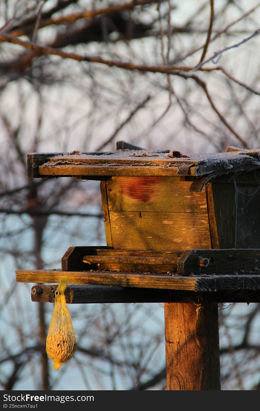 Feeding place for all types of birds