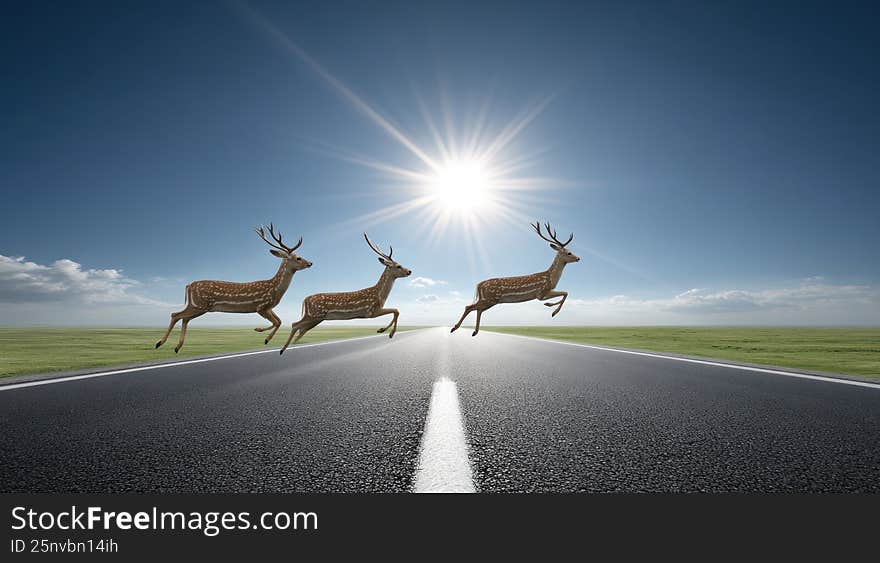 A straight asphalt road through green fields with a family of deer leaping across the road, bright sun, blue sky, ultra-realistic --chaos 30 --ar 16:9 --v 7 Job ID: fca0d753-9a24-4f8d-88e2-95ebf275ee02