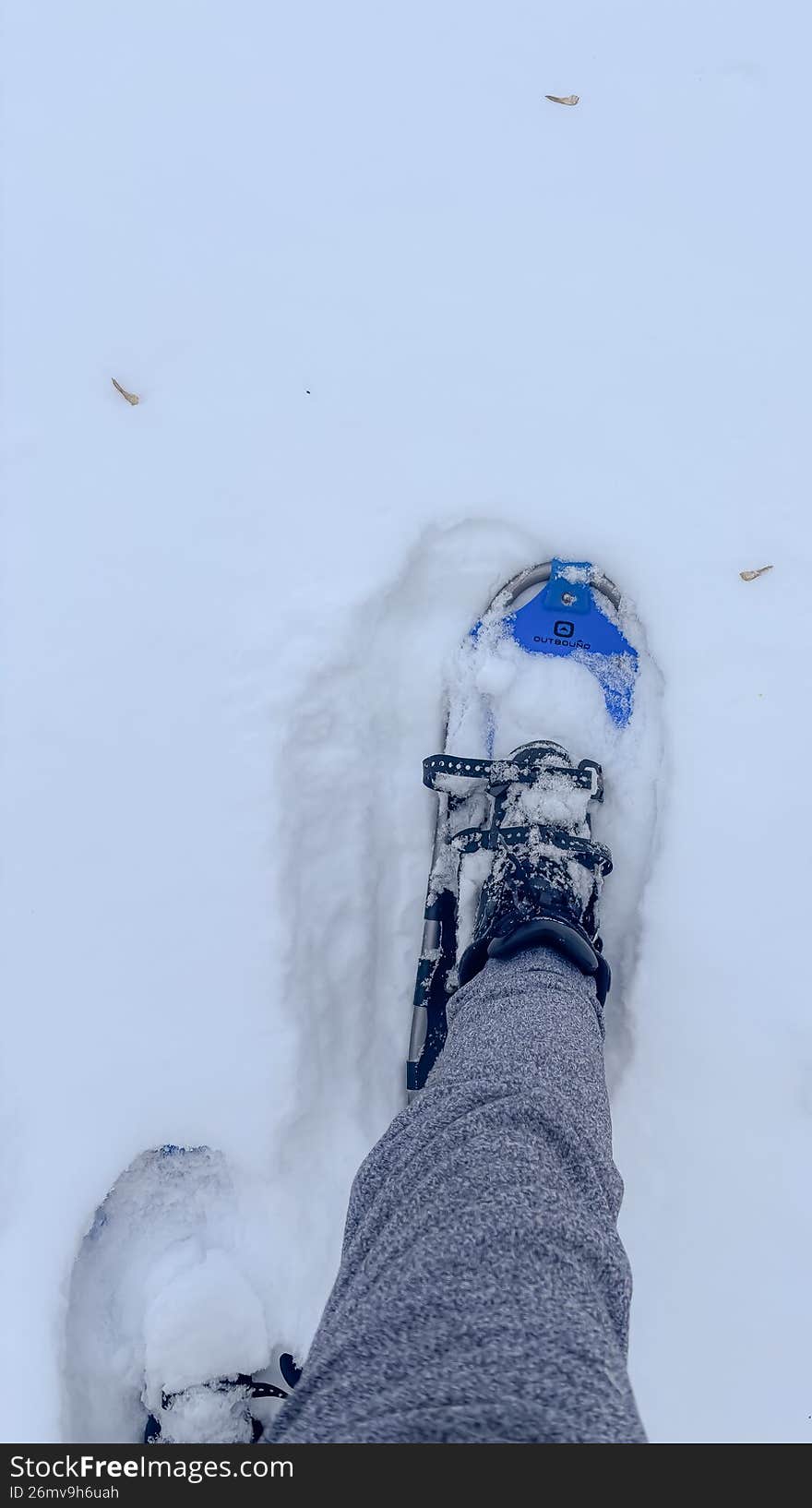 A crisp, high-contrast shot of modern all-terrain snowshoes resting on a bed of untouched, glittering powder snow. The image highlights the rugged crampons, durable aluminum frames, and ergonomic bindings designed for winter hiking and backcountry exploration. Set against a soft-focus wintry landscape, this shot captures the essence of cold-weather adventure, fitness, and mountain trekking.