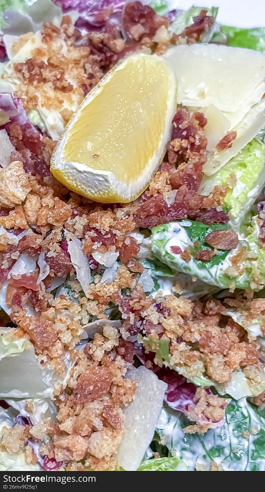 A study in texture and tradition. This shot features chilled, crisp Romaine hearts tossed in a creamy, garlic-infused dressing, finished with oversized sourdough croutons and a heavy snow-fall of aged Parmigiano-Reggiano. It evokes the feeling of a cozy, candle-lit dinner in a historic Almonte stone mill while the blizzard winds howl outside.