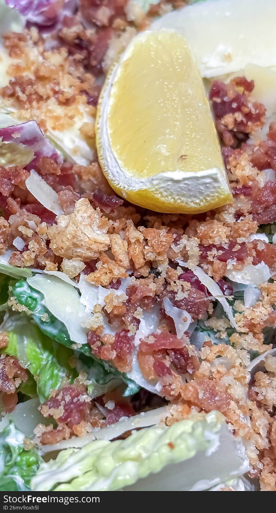 A study in texture and tradition. This shot features chilled, crisp Romaine hearts tossed in a creamy, garlic-infused dressing, finished with oversized sourdough croutons and a heavy snow-fall of aged Parmigiano-Reggiano. It evokes the feeling of a cozy, candle-lit dinner in a historic Almonte stone mill while the blizzard winds howl outside.