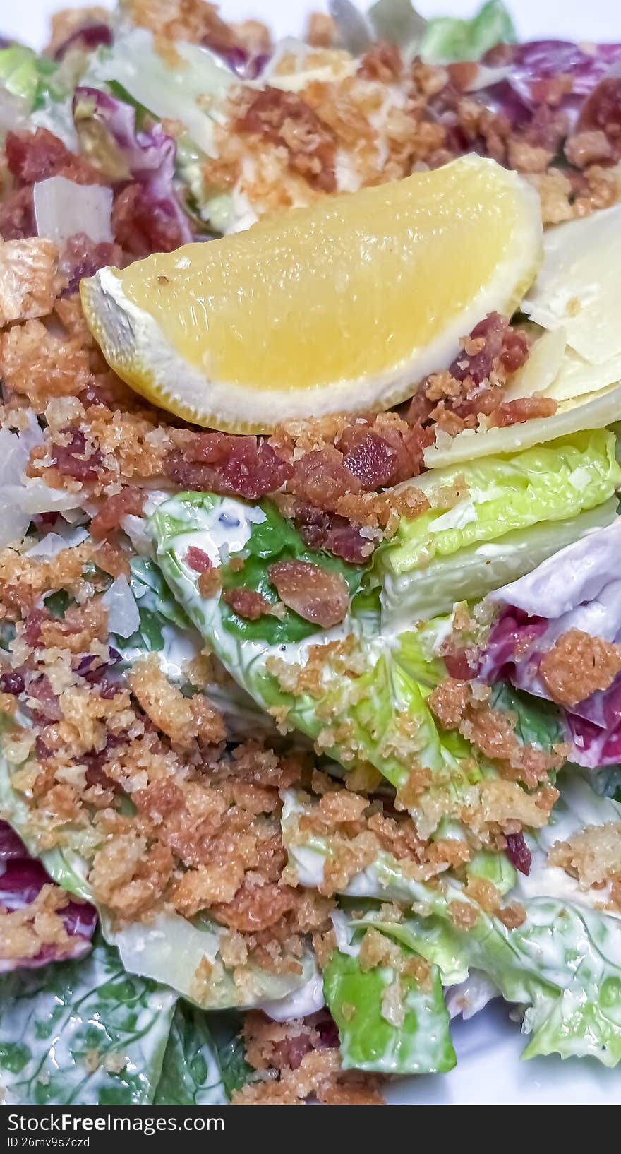 A study in texture and tradition. This shot features chilled, crisp Romaine hearts tossed in a creamy, garlic-infused dressing, finished with oversized sourdough croutons and a heavy snow-fall of aged Parmigiano-Reggiano. It evokes the feeling of a cozy, candle-lit dinner in a historic Almonte stone mill while the blizzard winds howl outside.