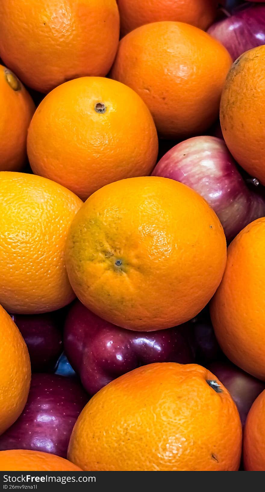 A crisp and refreshing fruit plate featuring vibrant orange slices and perfectly sliced red and green apples. This minimalist, high-angle shot emphasizes the juicy texture of the citrus and the clean, matte skin of the apples. Arranged on a neutral plate to make the natural colors pop, this image is perfect for health and wellness content, breakfast catering menus, or seasonal snack inspiration.